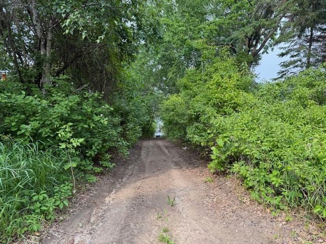 49512 202nd Pl, Shamrock Twp, MN 55760 - view of dirt / gravel road