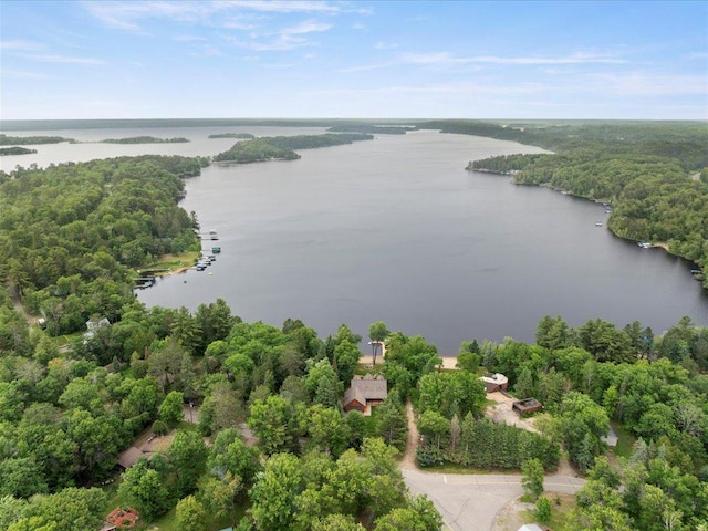 49512 202nd Pl, Shamrock Twp, MN 55760 - photo 86