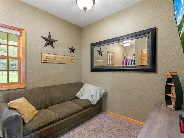 49512 202nd Pl, Shamrock Twp, MN 55760 - photo 114