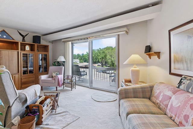 5440 Three Points Blvd Unit 531, Mound, MN 55364 - view of carpeted living area