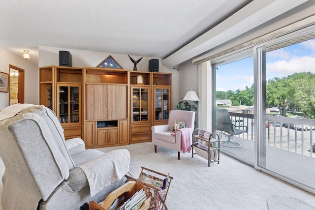 5440 Three Points Blvd Unit 531, Mound, MN 55364 - carpeted living area featuring vaulted ceiling and a textured ceiling