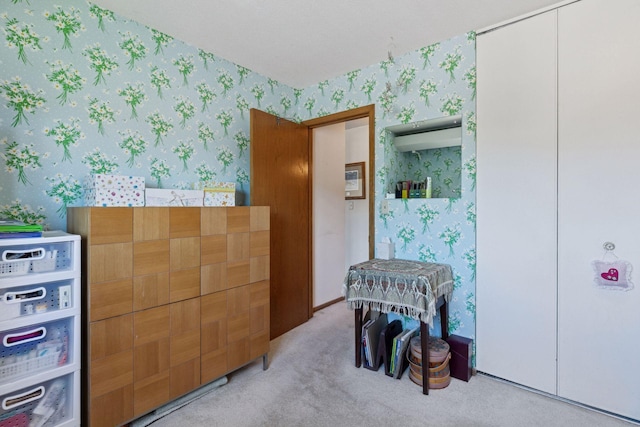5440 Three Points Blvd Unit 531, Mound, MN 55364 - bedroom with wallpapered walls and carpet