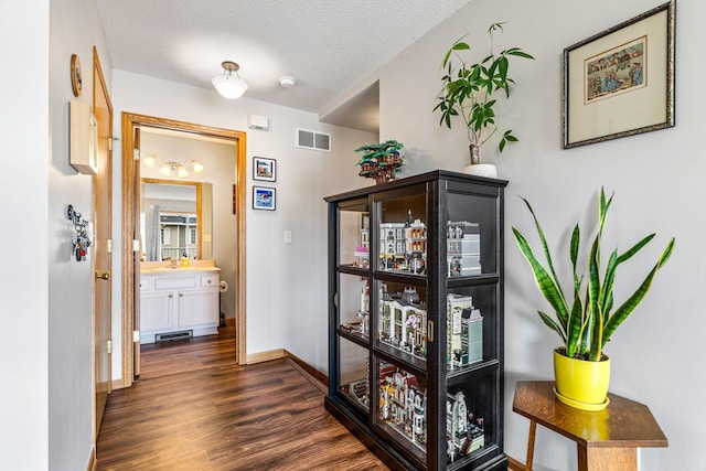2533 Cobble Hill Ct Unit H, Woodbury, MN 55125 - corridor with dark wood-style floors and a textured ceiling