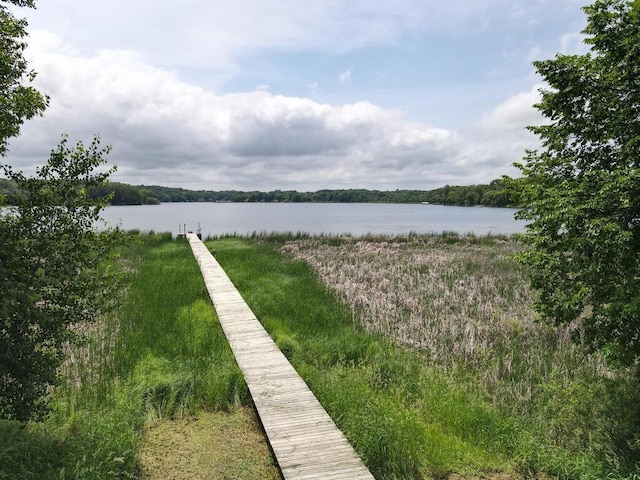 2406 Augusta Rd, Fair Haven Twp, MN 55382 - water view