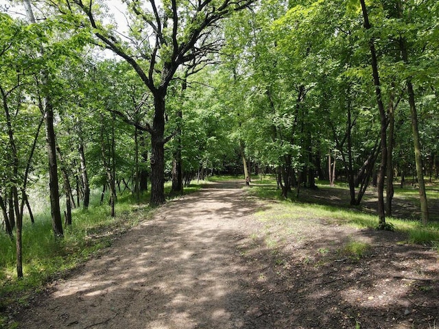 2406 Augusta Rd, Fair Haven Twp, MN 55382 - view of community featuring a view of trees