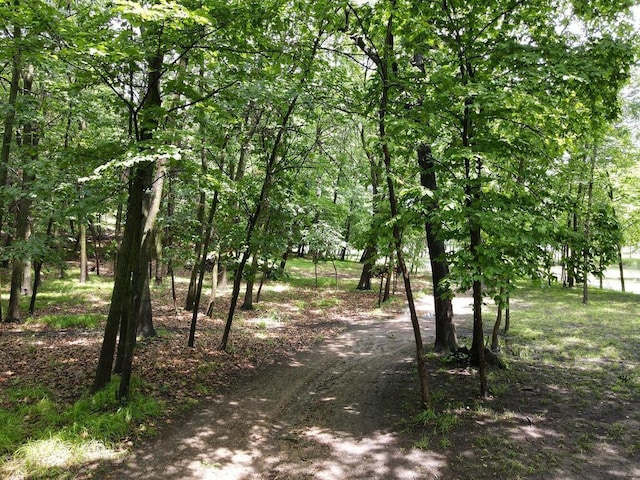 2406 Augusta Rd, Fair Haven Twp, MN 55382 - view of street