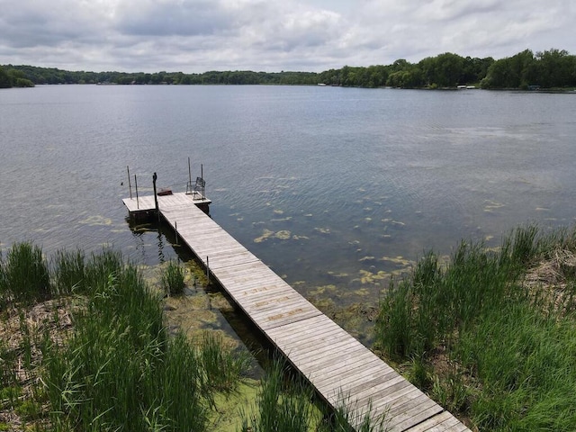 2406 Augusta Rd, Fair Haven Twp, MN 55382 - dock featuring a water view