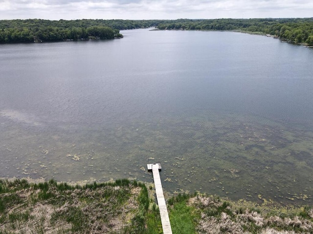 2406 Augusta Rd, Fair Haven Twp, MN 55382 - water view with a heavily wooded area