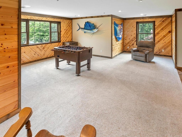 2406 Augusta Rd, Fair Haven Twp, MN 55382 - recreation room with wood walls, healthy amount of natural light, carpet flooring, and recessed lighting