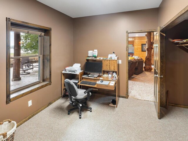 2406 Augusta Rd, Fair Haven Twp, MN 55382 - home office with carpet flooring and baseboards
