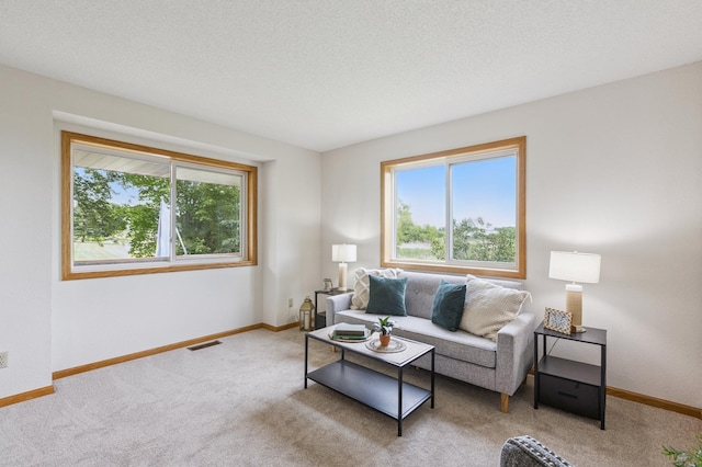 11817 51st St NE, Albertville, MN 55301 - living area featuring plenty of natural light and carpet floors