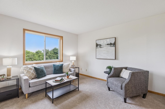 11817 51st St NE, Albertville, MN 55301 - living area with carpet floors and baseboards