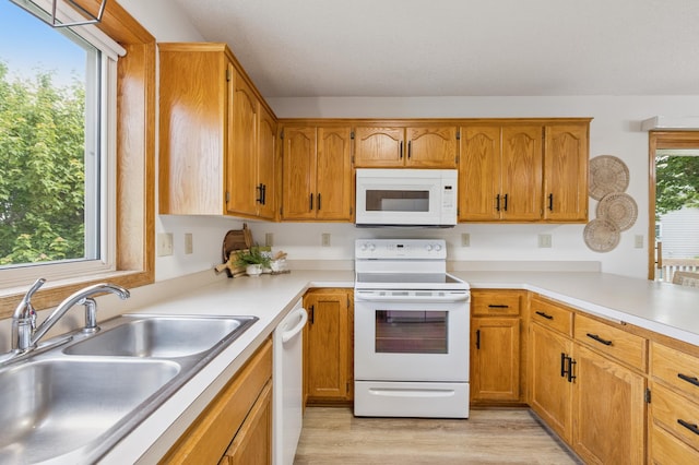 11817 51st St NE, Albertville, MN 55301 - kitchen with white appliances, light wood-type flooring, light countertops, and brown cabinets