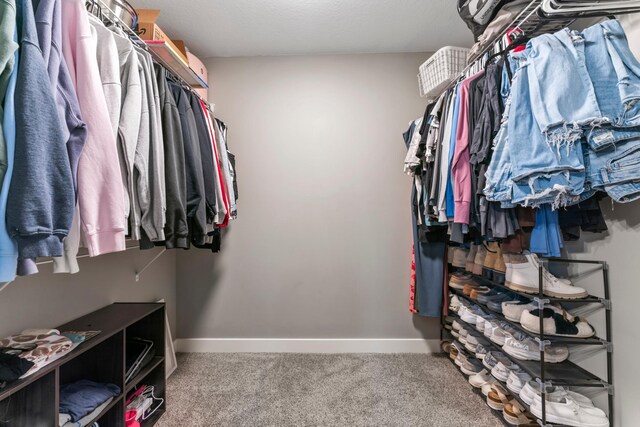 2105 Elk Run Dr SE, Pine Island, MN 55963 - walk in closet featuring carpet floors