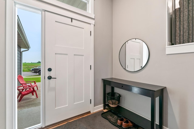 2105 Elk Run Dr SE, Pine Island, MN 55963 - foyer entrance with baseboards and wood finished floors