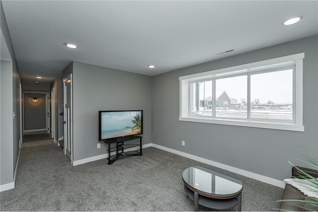 2105 Elk Run Dr SE, Pine Island, MN 55963 - sitting room featuring carpet and recessed lighting