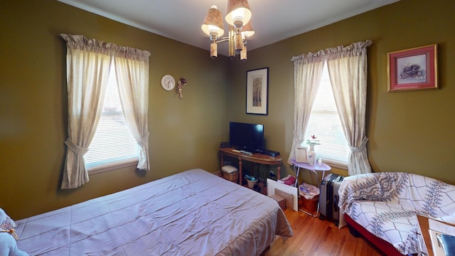 715 3rd Ave, Albert Lea, MN 56007 - bedroom with multiple windows and wood finished floors