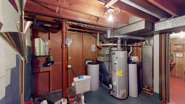 715 3rd Ave, Albert Lea, MN 56007 - unfinished basement with gas water heater