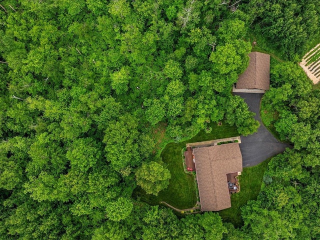 11034 Forest View Ct SW, Nisswa, MN 56468 - aerial view of property and surrounding area