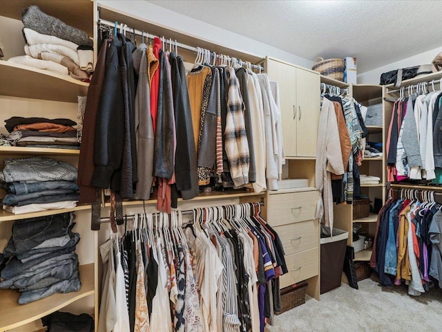 11034 Forest View Ct SW, Nisswa, MN 56468 - walk in closet featuring carpet floors