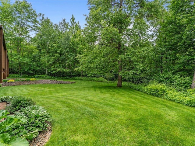 11034 Forest View Ct SW, Nisswa, MN 56468 - view of green lawn
