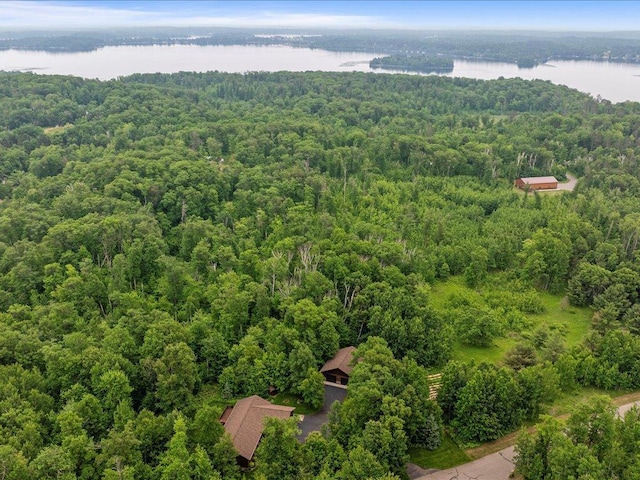11034 Forest View Ct SW, Nisswa, MN 56468 - aerial view of a heavily wooded area and a large body of water