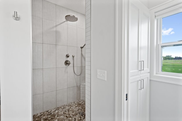 4452 167th Ave NW, Andover, MN 55304 - bathroom with tiled shower