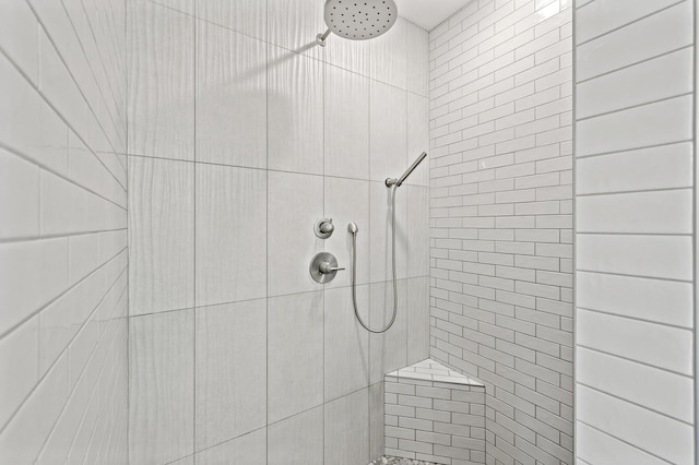 4452 167th Ave NW, Andover, MN 55304 - bathroom featuring a tile shower
