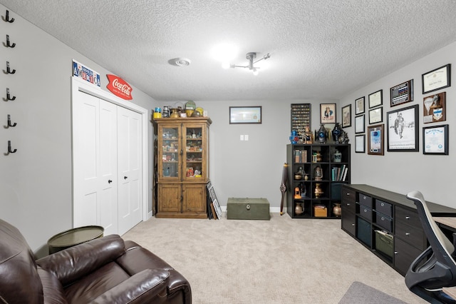 4452 167th Ave NW, Andover, MN 55304 - office area with a textured ceiling and carpet floors