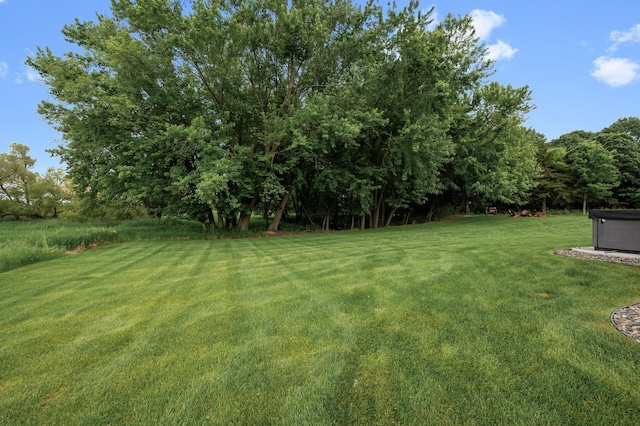 4452 167th Ave NW, Andover, MN 55304 - view of green lawn