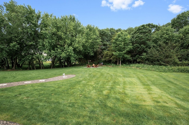 4452 167th Ave NW, Andover, MN 55304 - view of grassy yard