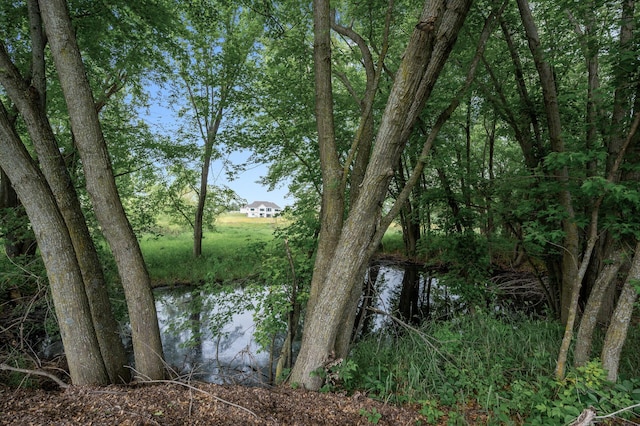 4452 167th Ave NW, Andover, MN 55304 - water view