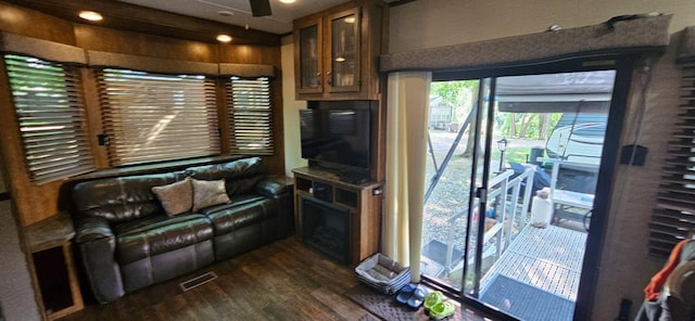 13240 Devils Lake Rd NW Unit 20, Brandon, MN 56315 - living room featuring dark wood-type flooring and ceiling fan