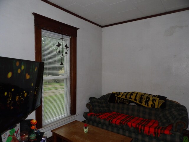 711 2nd Ave NW, Austin, MN 55912 - photo 13