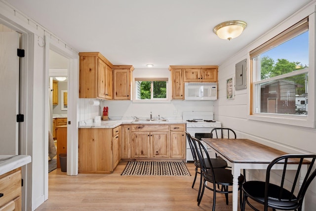 7315 120th St NW, Annandale, MN 55302 - kitchen with white appliances, light wood-style flooring, light countertops, and electric panel