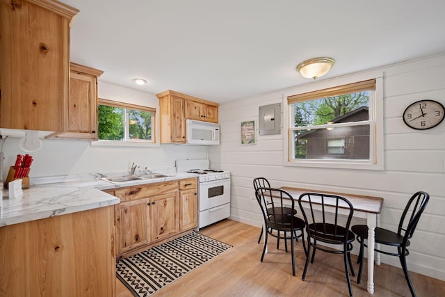 7315 120th St NW, Annandale, MN 55302 - kitchen with white appliances, light countertops, light wood-style flooring, and electric panel