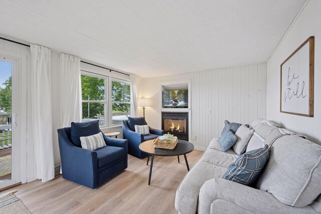 7315 120th St NW, Annandale, MN 55302 - living room featuring light wood-style floors and a glass covered fireplace