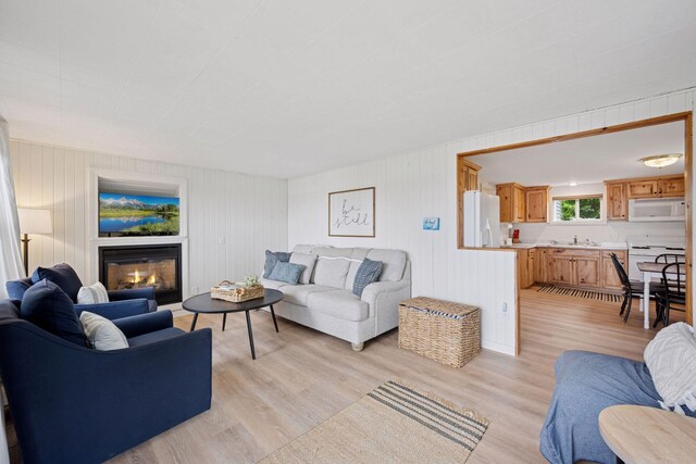 7315 120th St NW, Annandale, MN 55302 - living room featuring light wood-style flooring and a glass covered fireplace