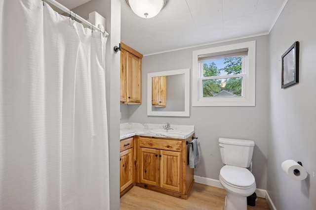 7315 120th St NW, Annandale, MN 55302 - bathroom with wood finished floors, vanity, ornamental molding, and a shower with curtain