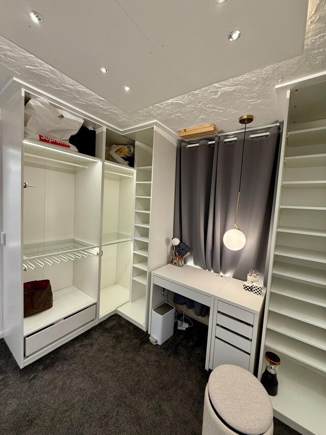 14303 Utica Ave, Savage, MN 55378 - walk in closet featuring carpet flooring