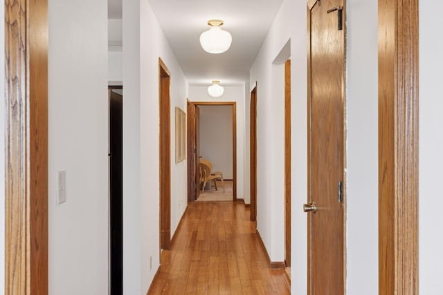 301 3rd St S Unit 302, Stillwater, MN 55082 - corridor with light wood-style floors and baseboards