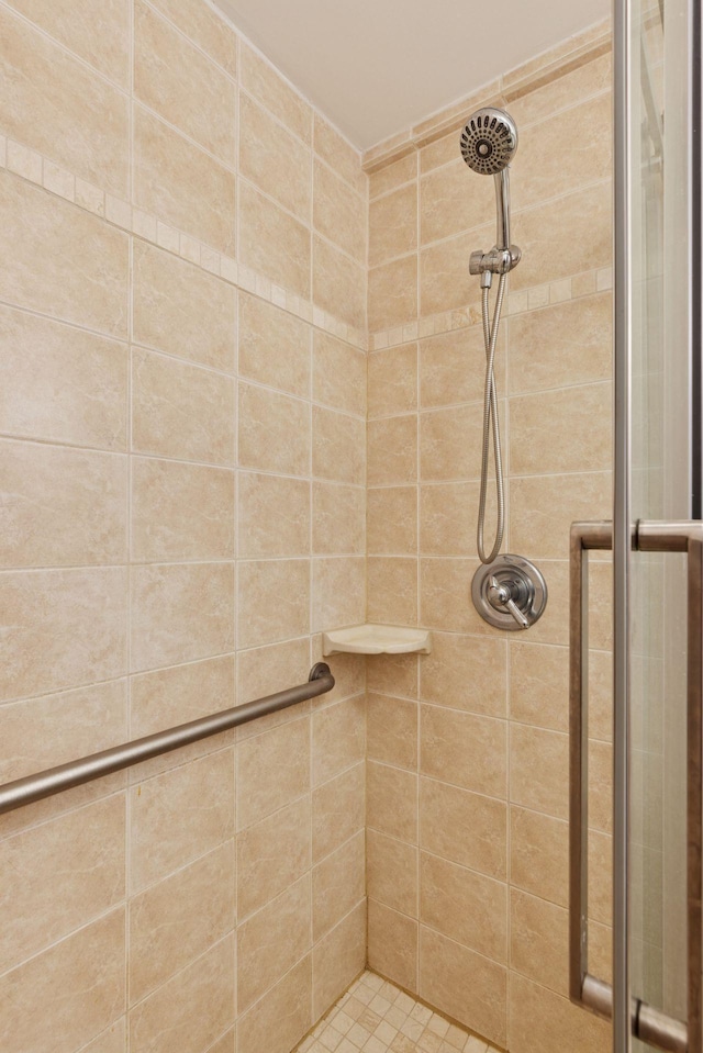 301 3rd St S Unit 302, Stillwater, MN 55082 - bathroom featuring a shower stall