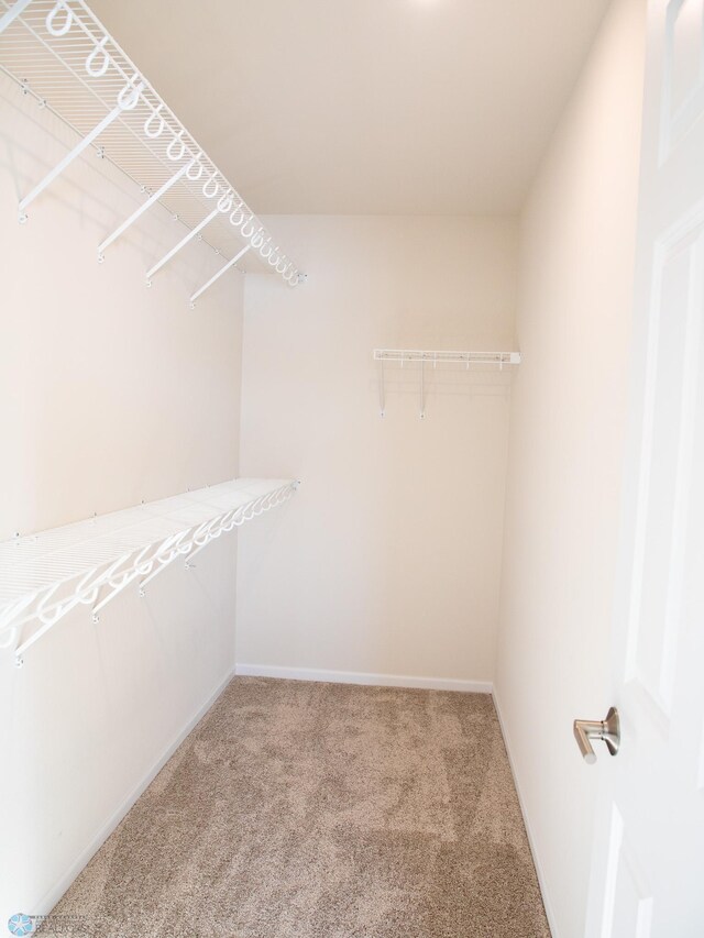 302 Neuman Blvd, Colfax, ND 58018 - walk in closet featuring carpet floors