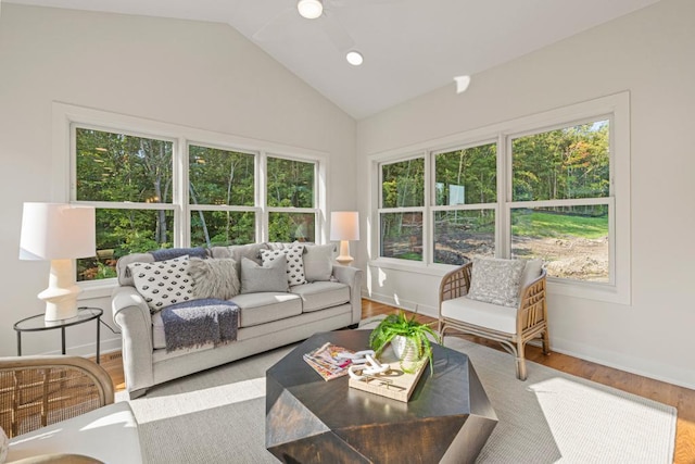 738 Ensconced Way, Chaska, MN 55318 - living area with healthy amount of natural light, vaulted ceiling, and wood finished floors