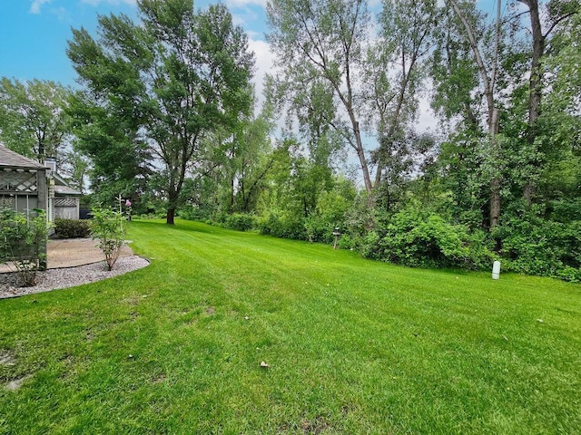 1207 Silverthorn Ct, Shoreview, MN 55126 - view of green lawn