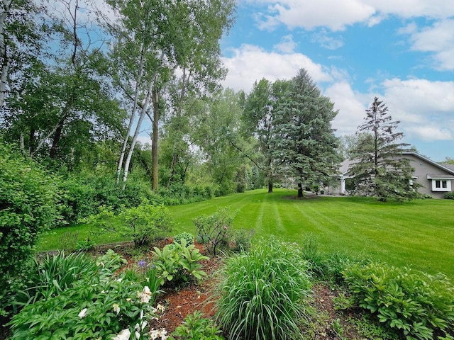 1207 Silverthorn Ct, Shoreview, MN 55126 - view of grassy yard