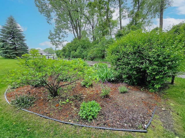 1207 Silverthorn Ct, Shoreview, MN 55126 - view of yard
