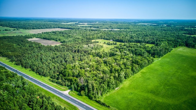 5936 Roosevelt Rd SE, Bemidji, MN 56601 - drone / aerial view of a forest