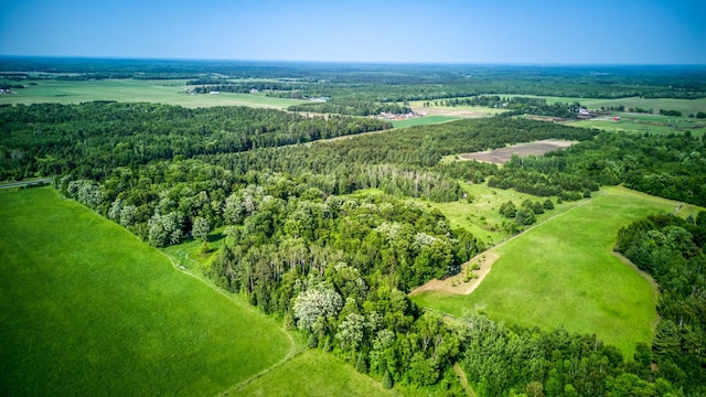 5936 Roosevelt Rd SE, Bemidji, MN 56601 - bird's eye view of a forest