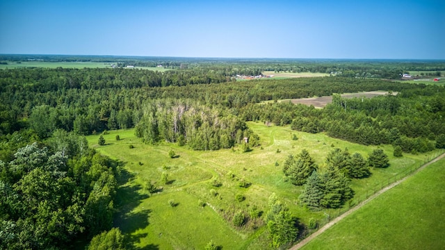 5936 Roosevelt Rd SE, Bemidji, MN 56601 - aerial overview of property's location with a forest